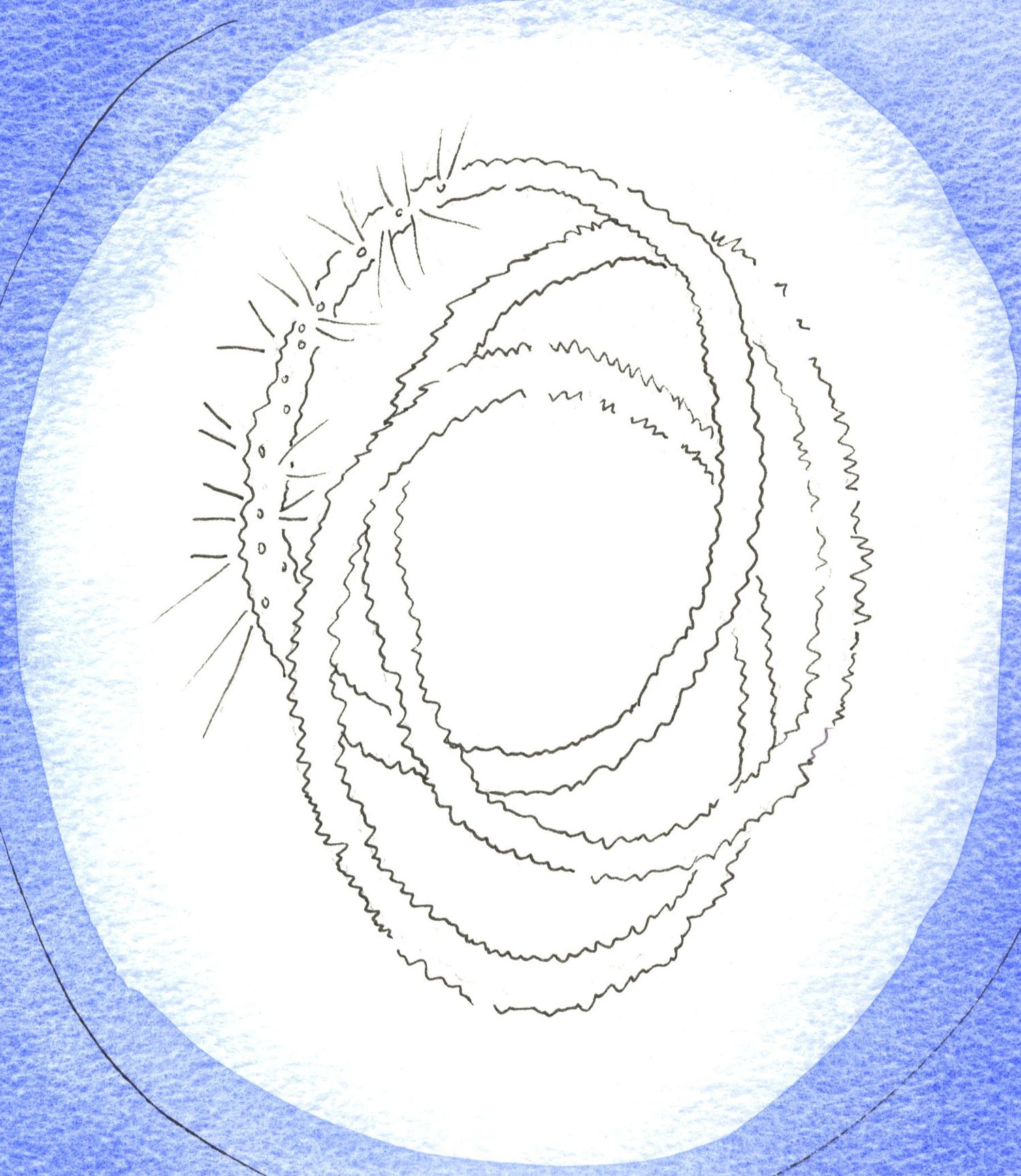 Radiant Light